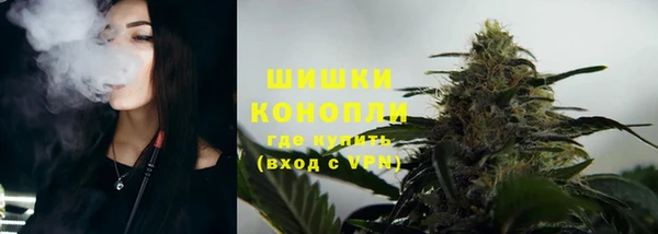 прущие крисы Дмитриев