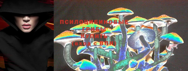 прущие крисы Дмитриев
