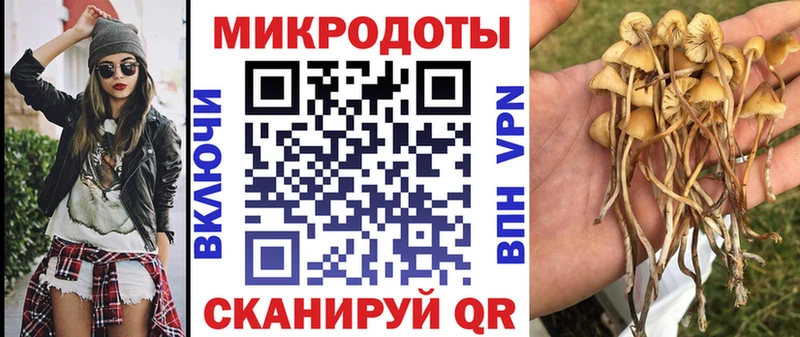 Галлюциногенные грибы мухоморы  Купить закладки  Миньяр 